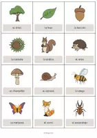 Vista previa - Manualidades / Dibujos para colorear - Forest / Bosque: Vocabulary Cards (Tarjetas de palabras) - página 2
