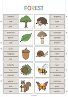 Vista previa - Juegos / Gamificación - Forest / Bosque: Clip Cards (Tarjetas de pinza para la clase de inglés) - página 2