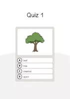 Vista previa - Juegos / Gamificación - Forest / Bosque: Vocabulary Quiz (Trivia para la clase de inglés) - página 3