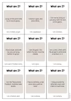 Vista previa - Tarjetas / Manipulativos - Football / Fútbol: What am I? - Cards (Juego de adivinanzas para la clase de inglés) - página 2