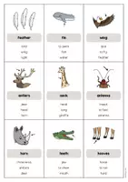 Vista previa - Juegos / Gamificación - Animal Body Parts / Partes del cuerpo de los animales: Don’t say it! (Juego para la clase de inglés) - página 3