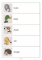 Vista previa - Juegos / Gamificación - Animal Body Parts / Partes del cuerpo de los animales: Running Dictation (Dictado en movimiento para la clase de inglés) - página 2