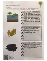 Vorschau - Arbeitsblätter - Moore Teil 3- Unterscheidung Feuchtbiotope & Moorentstehung mit Lösungen - Seite 2