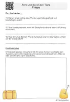 Vorschau - Arbeitsblätter - Anna und die wilden Friese - Friese - Quizfragen inkl. QR-Code - Seite 2