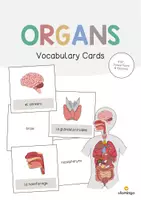 Vista previa - Manualidades / Dibujos para colorear - Organs / Órganos: Vocabulary Cards (Tarjetas de palabras) - Portada