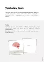 Vista previa - Manualidades / Dibujos para colorear - Organs / Órganos: Vocabulary Cards (Tarjetas de palabras) - página 1