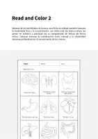 Vista previa - Hojas de trabajo - Organs / Órganos: Read and Color 2 (Hoja de trabajo de inglés) - página 1