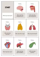 Vista previa - Juegos / Gamificación - Organs / Órganos: I have..., who has...? (Juego para la clase de inglés) - página 2