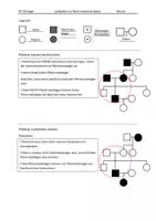 Vorschau - Arbeitsblätter - Leitfaden Stammbaumanalyse - Seite 1