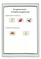 Vorschau - Stundenentwürfe - Gruppenpuzzle Fortpflanzungsformen: un-/geschlechtlich - Deckblatt