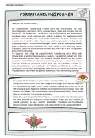Vorschau - Stundenentwürfe - Gruppenpuzzle Fortpflanzungsformen: un-/geschlechtlich - Seite 3