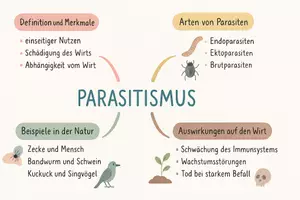 Vorschau - Arbeitsblätter - Arbeitsblatt "Parasitismus" + interaktive Lösung & MP3 + Mindmap + Infografik - Seite 2