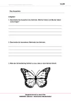 Vorschau - Arbeitsblätter - Admiral - Arbeitsblätter und Lösungen PDF - Deckblatt