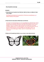 Vorschau - Arbeitsblätter - Admiral - Arbeitsblätter und Lösungen PDF - Seite 1