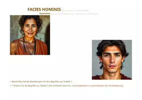 Vorschau - Arbeitsblätter - Wortschatzarbeit "Facies et Corpus Hominis" - Seite 1