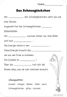 Vorschau - Arbeitsblätter - Schneeglöckchen Arbeitsblätter, Klettbild und Streichholzschachtelwörter - Seite 1