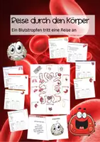 Vorschau - Spiele - Blutkreislauf Spiel - Deckblatt