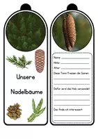 Vorschau - Unterrichtsreihen - Wald - Unsere Nadelbäume (Legematerial und Fächer) - Seite 1