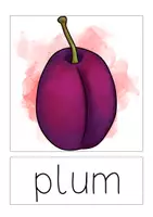 Vorschau - Präsentationen/Tafelbilder - picture & word cards – fruits - Seite 2