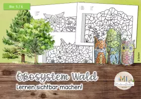 Vorschau - Arbeitsblätter - Ökosystem WALD: Lernen sichtbar machen - Seite 1
