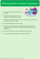 Vorschau - Stundenentwürfe - Stundenentwurf mit Quiz: Zellorganellen arbeiten zusammen- Ready to use - Seite 2