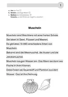 Vorschau - Arbeitsblätter - Schlüsselwörter in einem Text markieren. Sachtexte: Meerestiere. Eine handlungsorientierte Methode - Seite 2