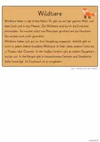 Vorschau - Arbeitsblätter - Nutztiere - Haustiere - Wildtiere Einführung - Seite 3