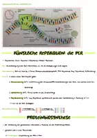 Vorschau - Merkblätter - Genetik Lernzettel - Abitur 2025 - Seite 3
