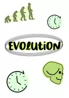 Vorschau - Merkblätter - Evolution Lernzettel - Abitur 2025 - Deckblatt