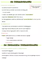 Vorschau - Merkblätter - Evolution Lernzettel - Abitur 2025 - Seite 1