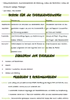 Vorschau - Merkblätter - Evolution Lernzettel - Abitur 2025 - Seite 2