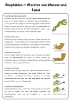 Vorschau - Arbeitsblätter - Amphibien – Meister von Wasser und Land | Unterrichtsreihe "Wirbeltiere", Biologie Klasse 5./6. - Seite 3