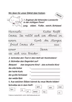 Vorschau - Test - Diktat Klasse 2 / 3 Thema Katze leistungsdifferenziert mit Vorbereitung - Seite 3