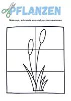 Vorschau - Mal- und Bastelvorlagen - Ausschneiden und kleben Pflanzen - Wortschatz basteln Feinmotorik (Grundschule) - Seite 1