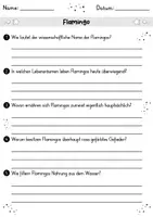 Vorschau - Arbeitsblätter - Flamingo MEGABUNDLE - Wissenskartei, Lückentext, Steckbrief, Suchsel, Quizkarten - Seite 2