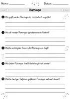 Vorschau - Arbeitsblätter - Flamingo MEGABUNDLE - Wissenskartei, Lückentext, Steckbrief, Suchsel, Quizkarten - Seite 3