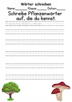 Vorschau - Lehrwerke/Schulbücher - Pflanzen Wörter und Sätze schreiben und Silben DaZ/DaF, deutsch - Seite 1