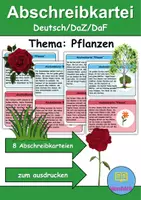 Vorschau - Unterrichtsreihen - Abschreibkartei Thema Pflanzen - DaZ/DaF, Deutsch (schreiben) - Deckblatt