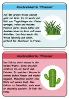 Vorschau - Unterrichtsreihen - Abschreibkartei Thema Pflanzen - DaZ/DaF, Deutsch (schreiben) - Seite 2