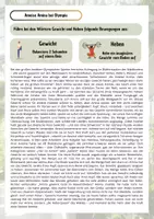 Vorschau - Text - Bewegungsgeschichte Biologie - wirbelloses Tier Ameise - Seite 2