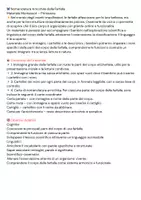 anteprima - Altro tipo di materiale - Dentro la farfalla; viaggio tra le meraviglie del corpo di un insetto impollinatore-nomenclatura arricchita - Pagina 1