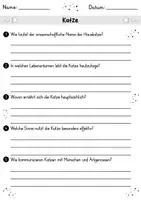 Vorschau - Arbeitsblätter - Katze MEGABUNDLE - Wissenskartei, Lückentext, Steckbrief, Suchsel, Quizkarten - Seite 2