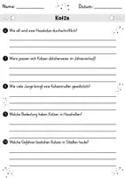 Vorschau - Arbeitsblätter - Katze MEGABUNDLE - Wissenskartei, Lückentext, Steckbrief, Suchsel, Quizkarten - Seite 3