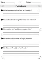 Vorschau - Arbeitsblätter - Marienkäfer MEGABUNDLE - Wissenskartei, Lückentext, Steckbrief, Suchsel, Quizkarten - Seite 2