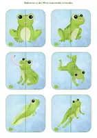 Vorschau - Stationenlernen - 🐸 Frosch Puzzle schau genau visuelle Diskrimination - Seite 1