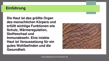 Vorschau - Präsentationen/Tafelbilder - Expertenstandard Hautintegrität in der Pflege - Seite 3