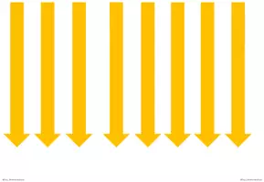 Vorschau - Präsentationen/Tafelbilder - Aufbau der Sonnenblume Tafelmaterial - Seite 1