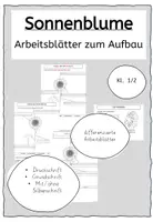 Vorschau - Arbeitsblätter - Aufbau der Sonnenblume Arbeitsblätter differenziert - Deckblatt