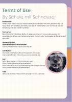 Vorschau - Arbeitsblätter - Drachentanz und Löwentanz - Chinesisches Neujahr - Seite 1