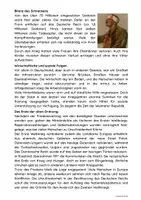 Vorschau - Arbeitsblätter - Das Ende des Ersten Weltkriegs - Seite 2